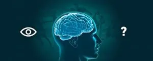 اموزش سود در سایت بت