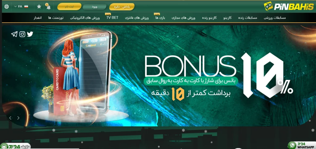 محیط پین باهیس