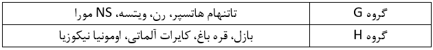 لیگ کنفرانس